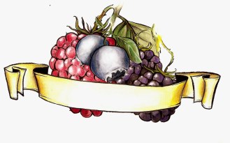 mora,lampone e mirtillo