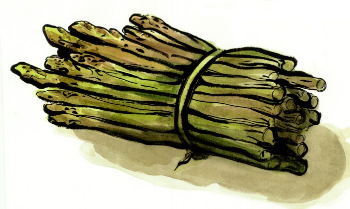 asparagi selvatici