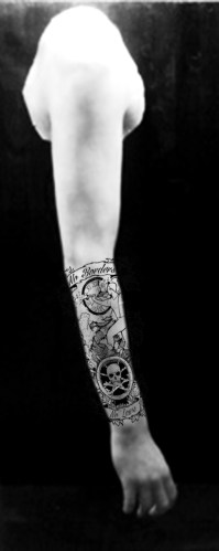 anatomia-06-braccio-big