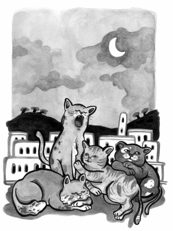 Gatto nella mangiatoia-1