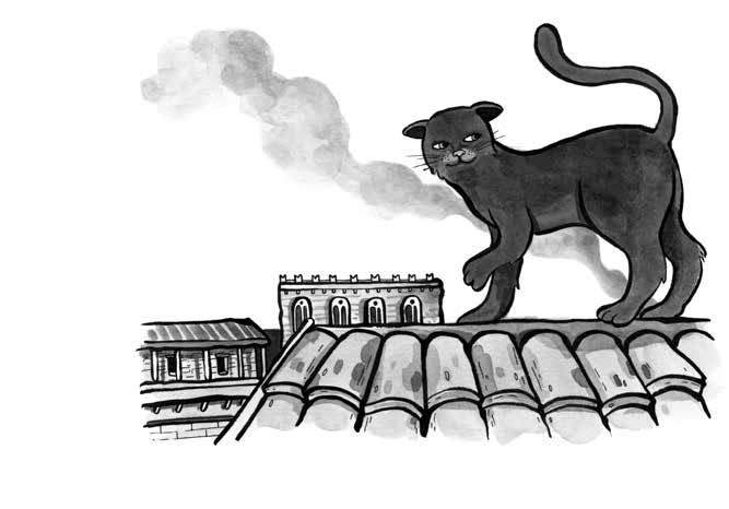 Gatto nella mangiatoia-16