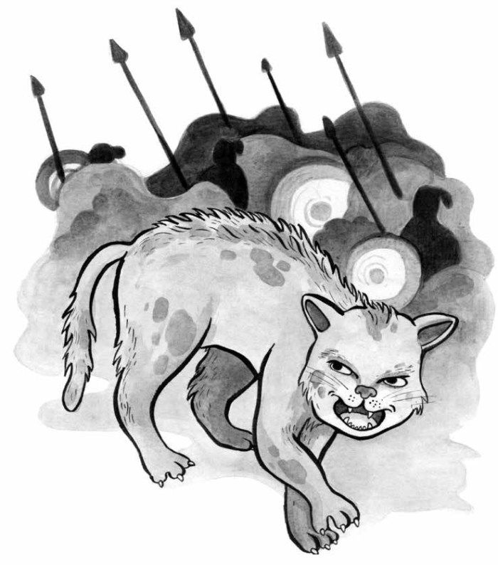 Gatto nella mangiatoia-7